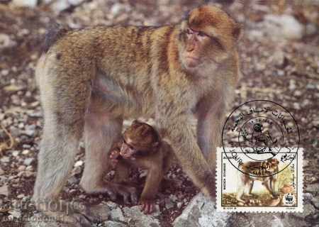 WWF Max Algeria Maps 1988 - Macaque