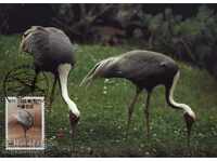 carduri WWF up Coreea de Sud 1988 - Macarale