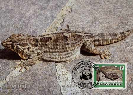 carduri de WWF maxim Kap Verde 1986 - Gecko