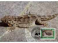 carduri de WWF maxim Kap Verde 1986 - Gecko