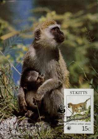 WWF κάρτες μέχρι Σεντ Κιτς 1986 με τιμή 14.00 BGN | € 7.16 WWF κάρτες μέχρι Σεντ Κιτς 1986 με τιμή 14.00 BGN | € 7.16