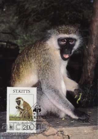 Δημοπρασία WWF κάρτες μέχρι Σεντ Κιτς 1986 Δημοπρασία WWF κάρτες μέχρι Σεντ Κιτς 1986