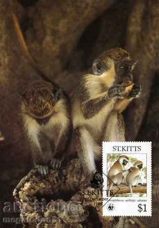 Παράδοση WWF κάρτες μέχρι Σεντ Κιτς 1986 Παράδοση WWF κάρτες μέχρι Σεντ Κιτς 1986