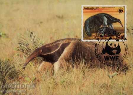 Delivery of WWF Max Paraguay 1985 maps Delivery of WWF Max Paraguay 1985 maps