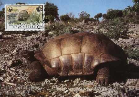 WWF carte de maxim Seychelles 1985
