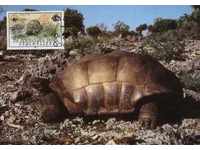 WWF carte de maxim Seychelles 1985