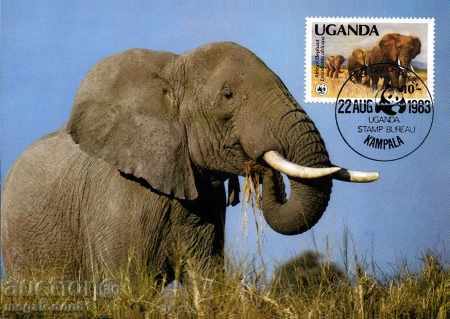 WWF Cards Uganda Maximum - African Elephant 1983 with price 6.00 BGN | € 3.07