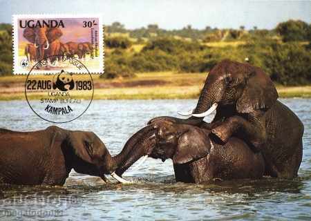 Auction  WWF Cards Uganda Maximum - African Elephant 1983