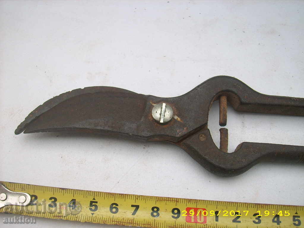 OLD WORKING WALK BIRD with price 4.99 BGN | € 2.55 OLD WORKING WALK BIRD with price 4.99 BGN | € 2.55