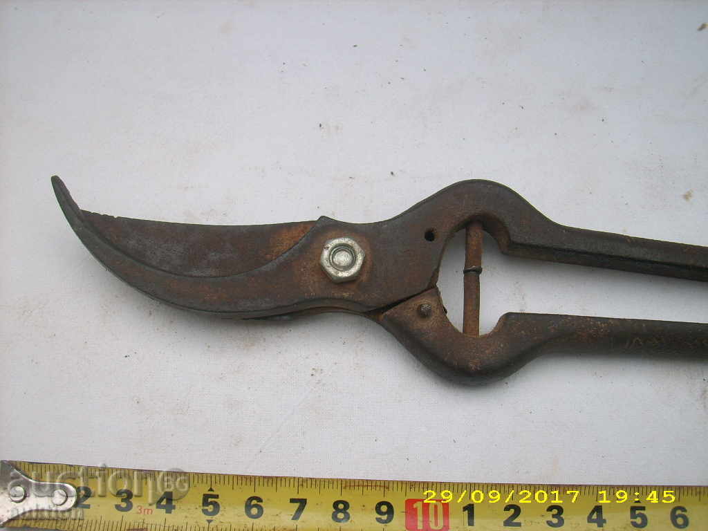 Auction OLD WORKING WALK BIRD Auction OLD WORKING WALK BIRD