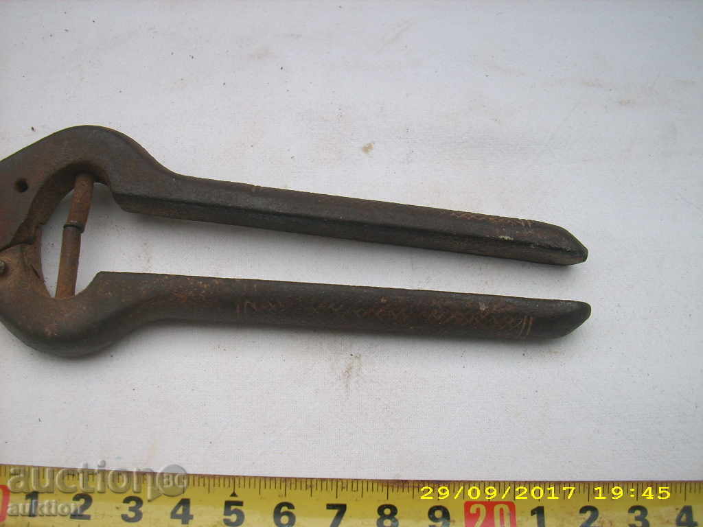 Delivery of OLD WORKING WALK BIRD Delivery of OLD WORKING WALK BIRD