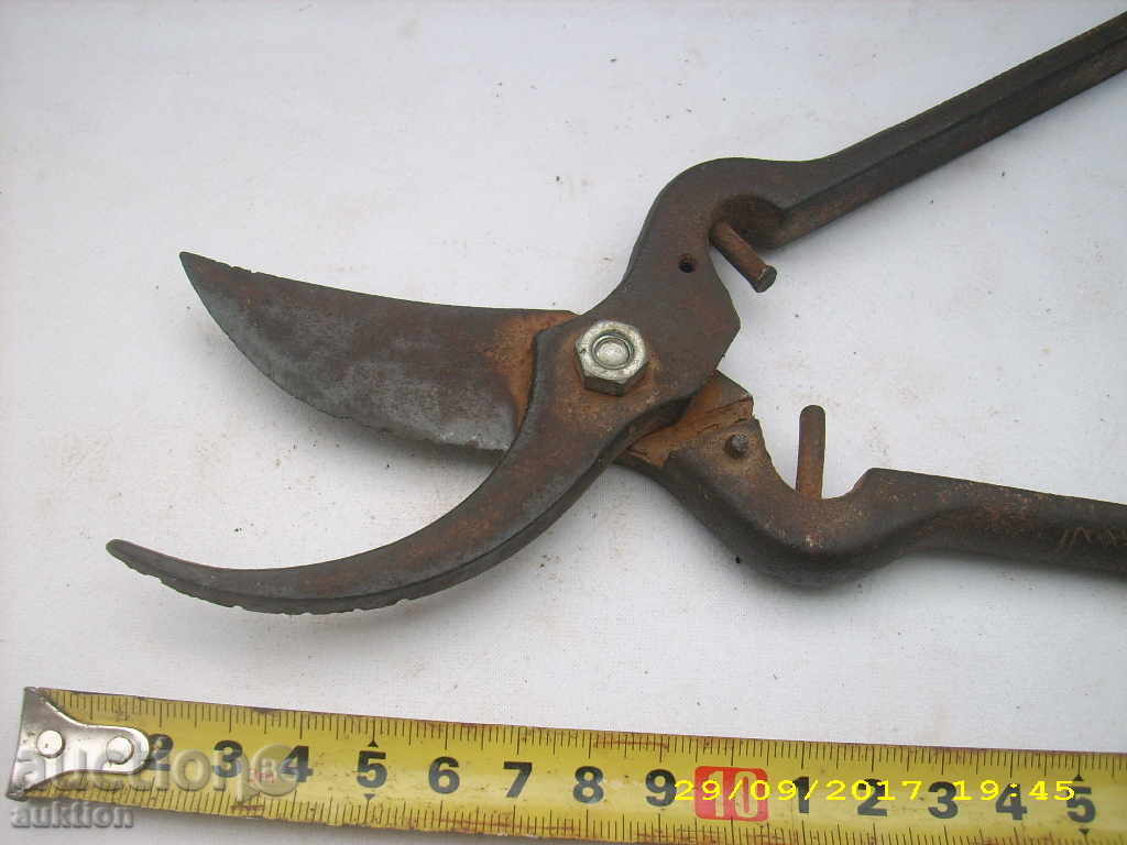 OLD WORKING WALK BIRD - 5 OLD WORKING WALK BIRD - 5