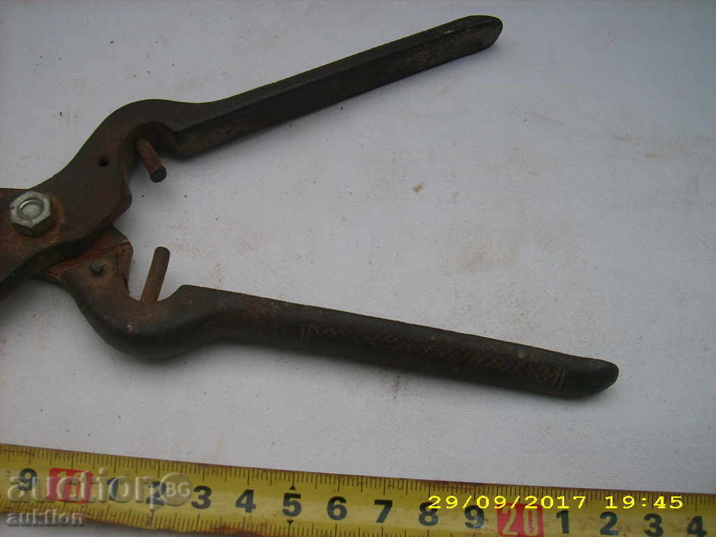 OLD WORKING WALK BIRD - 6 OLD WORKING WALK BIRD - 6