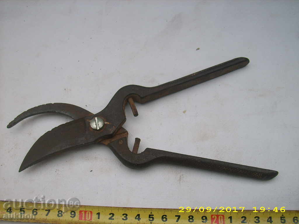 OLD WORKING WALK BIRD - 7 OLD WORKING WALK BIRD - 7