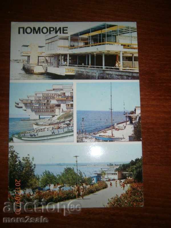 CARD - Pomorie - 1981 CUVINTE