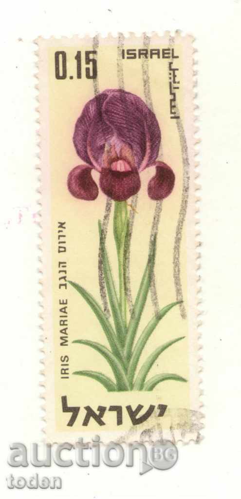 Brand> israelian Wild Flori - Iris Mariae
