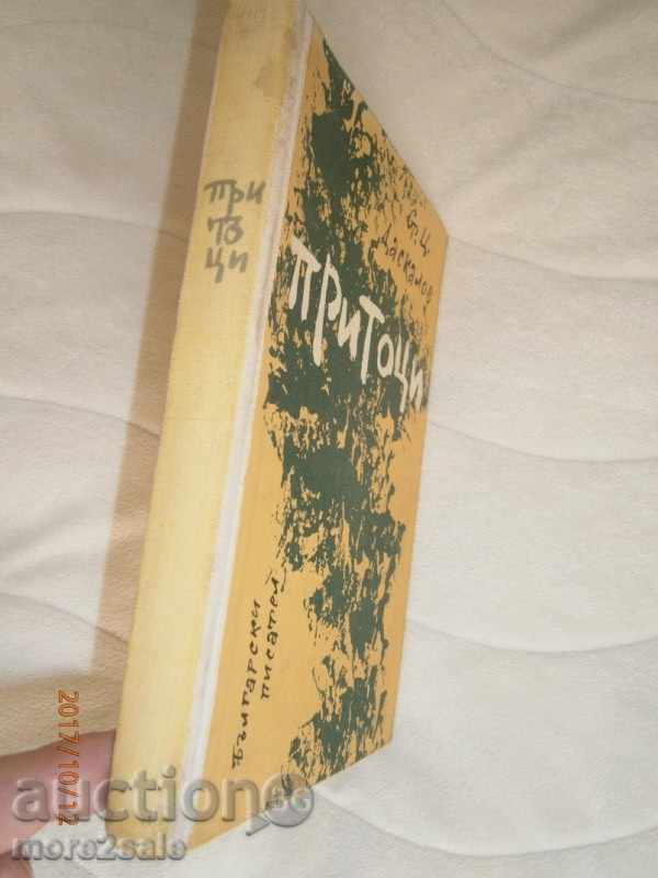 Auction STOYAN DASKALOV - RECORDS - 1962 - 304 PAGES Auction STOYAN DASKALOV - RECORDS - 1962 - 304 PAGES