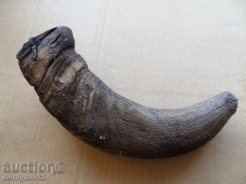 Livrarea Buffalo corn katranik