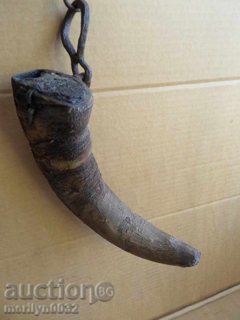 Bison horn - 5 Bison horn - 5