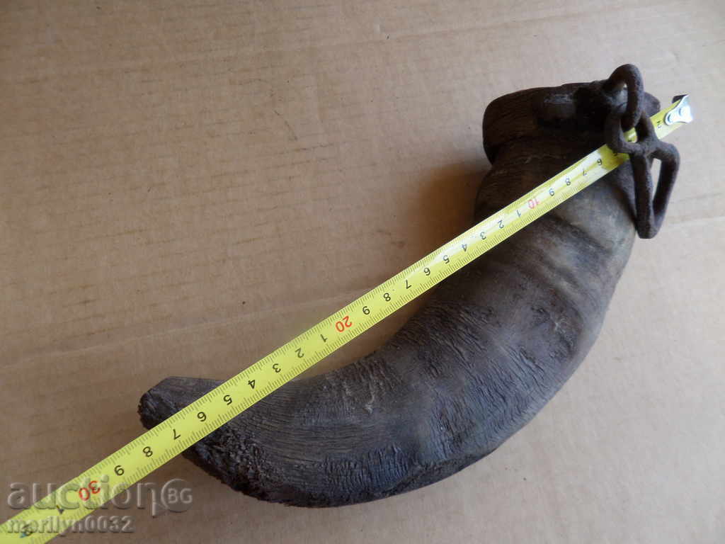 Bison horn - 6 Bison horn - 6