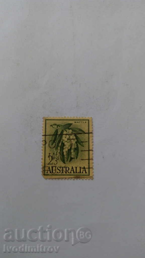 Brand AUSTRALIA Wattle