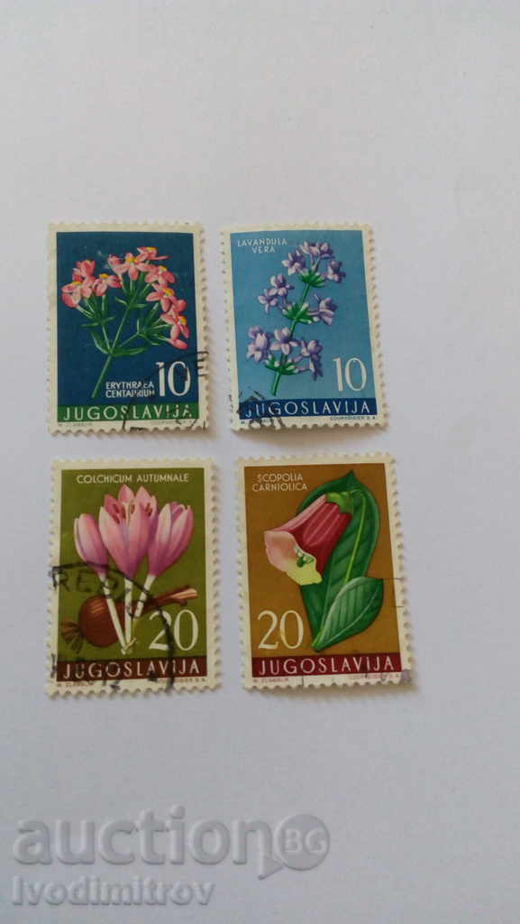 Κάντε Γιουγκοσλαβία Λουλούδια