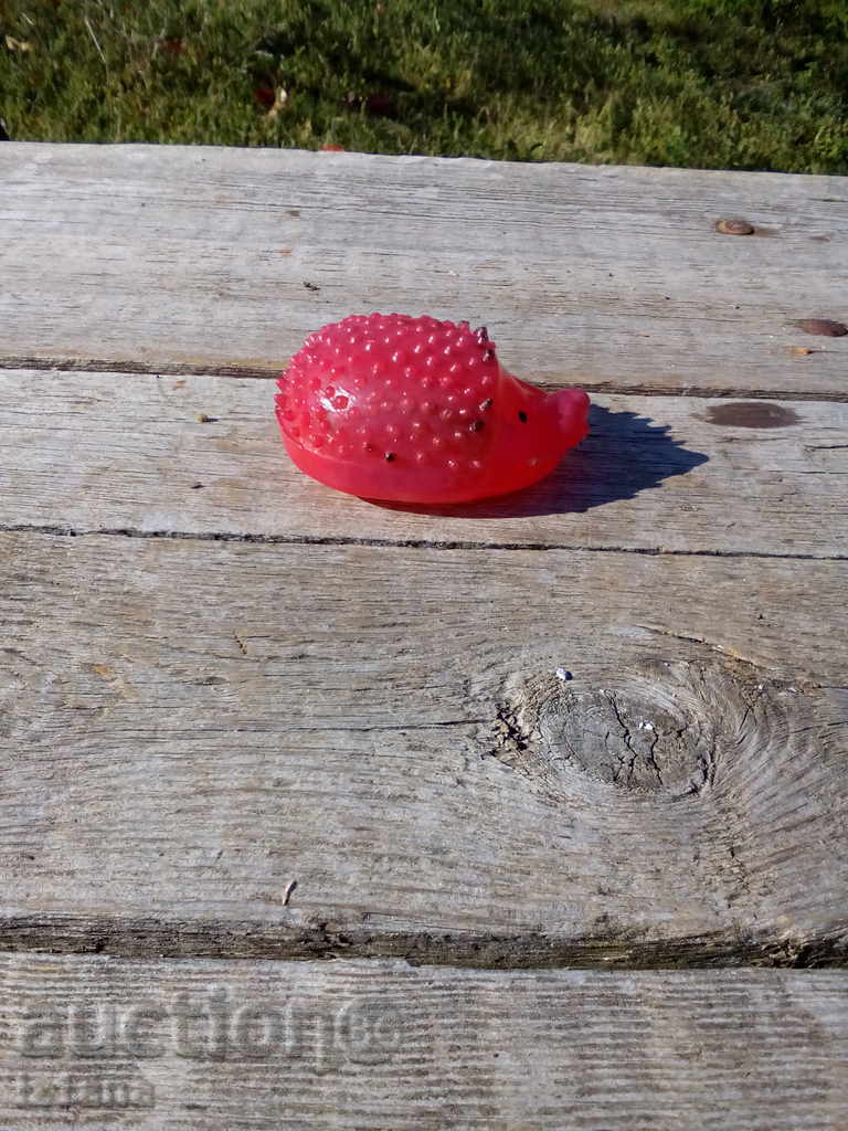 Delivery of Hedgehog Hedgehog Delivery of Hedgehog Hedgehog