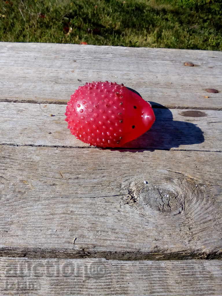 Hedgehog Hedgehog - 5 Hedgehog Hedgehog - 5