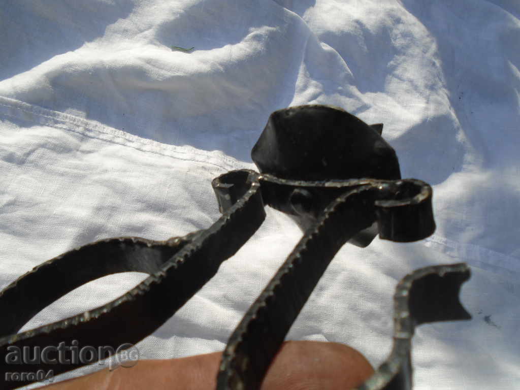 STAR HORSE COVER - 7