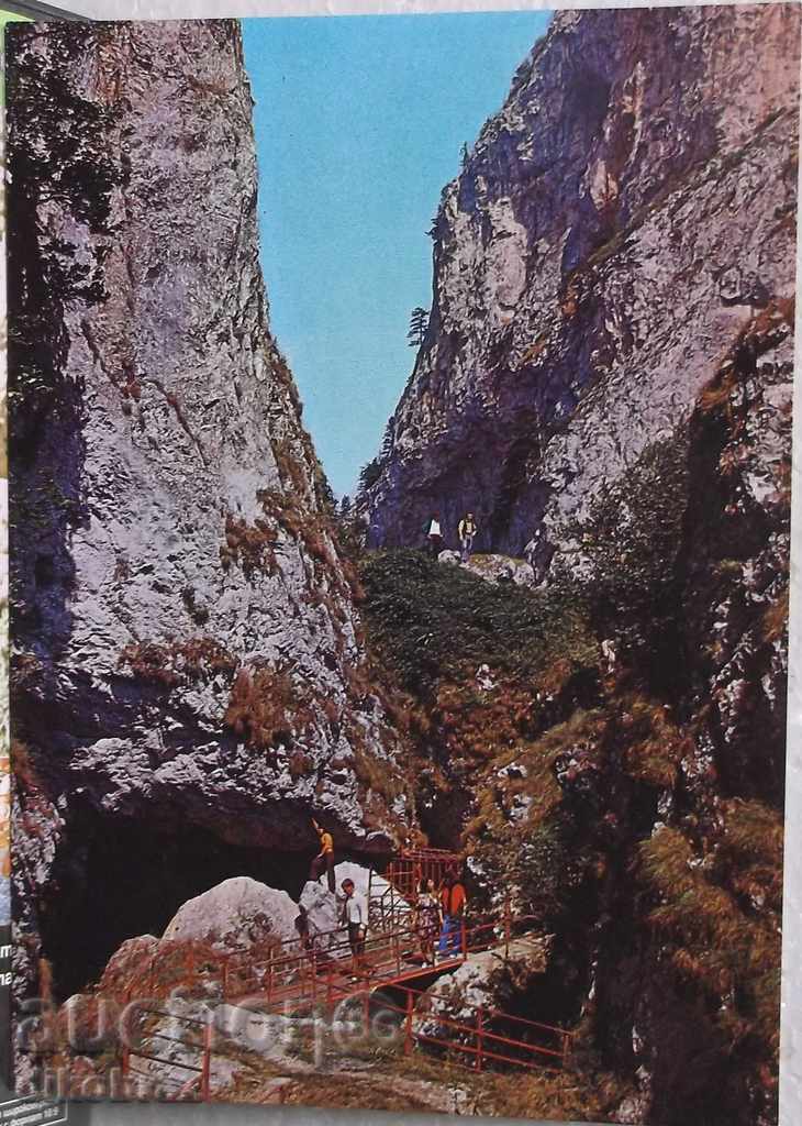 Trigrad - Πετρώματα - 1977