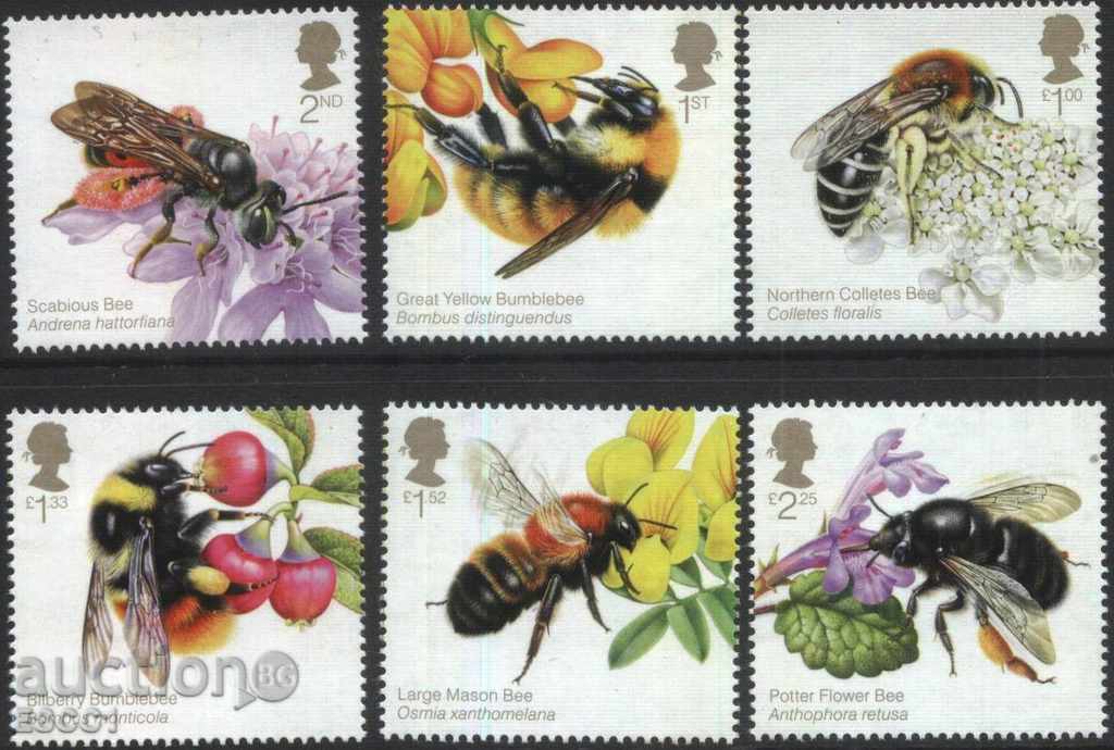 Καθαρίστε τα σήματα 2015 Μέλισσες Πανίδα της Βρετανίας