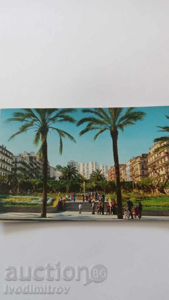 Alger carte poștală Bab El Oued Piața Guillemin