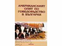 Американският опит по говедовъдство в България