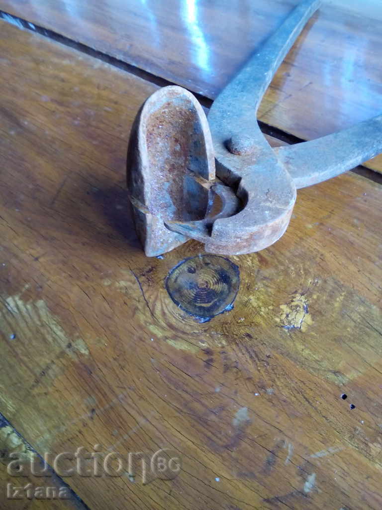 Delivery of Ancient pliers Delivery of Ancient pliers