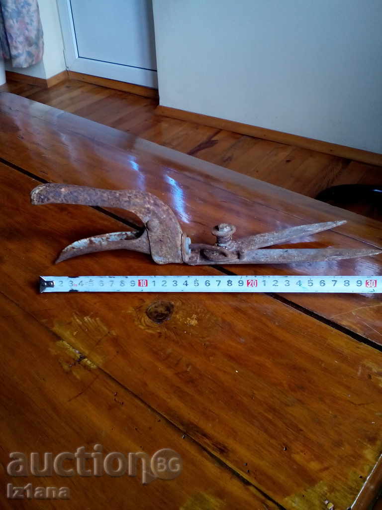 Auction Old scissors, scissors Auction Old scissors, scissors