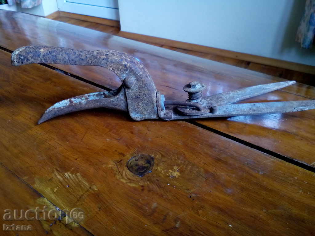 Delivery of Old scissors, scissors Delivery of Old scissors, scissors