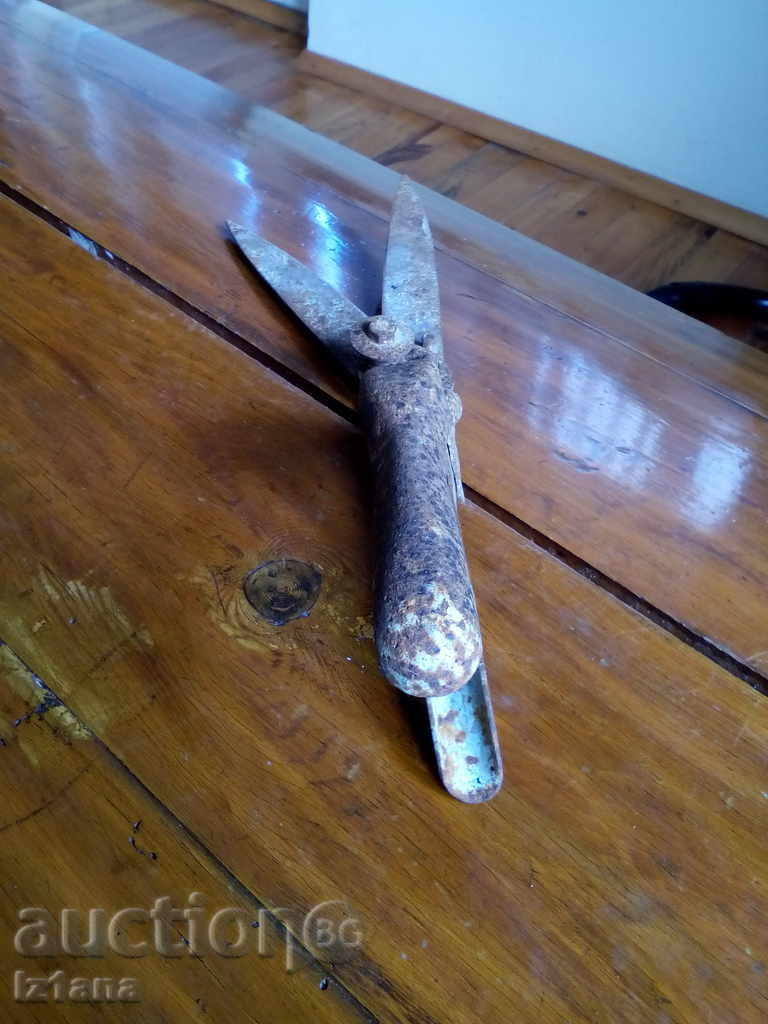 Old scissors, scissors - 5 Old scissors, scissors - 5