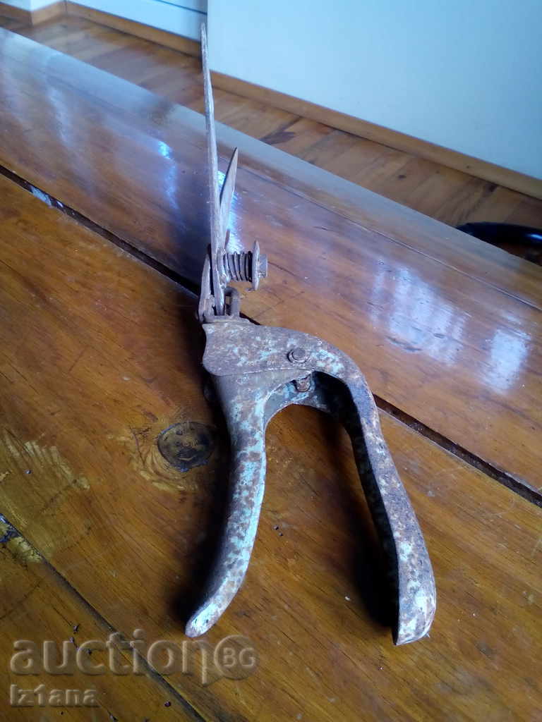 Old scissors, scissors - 6 Old scissors, scissors - 6