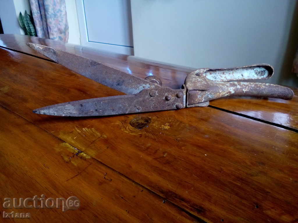 Old scissors, scissors - 7 Old scissors, scissors - 7