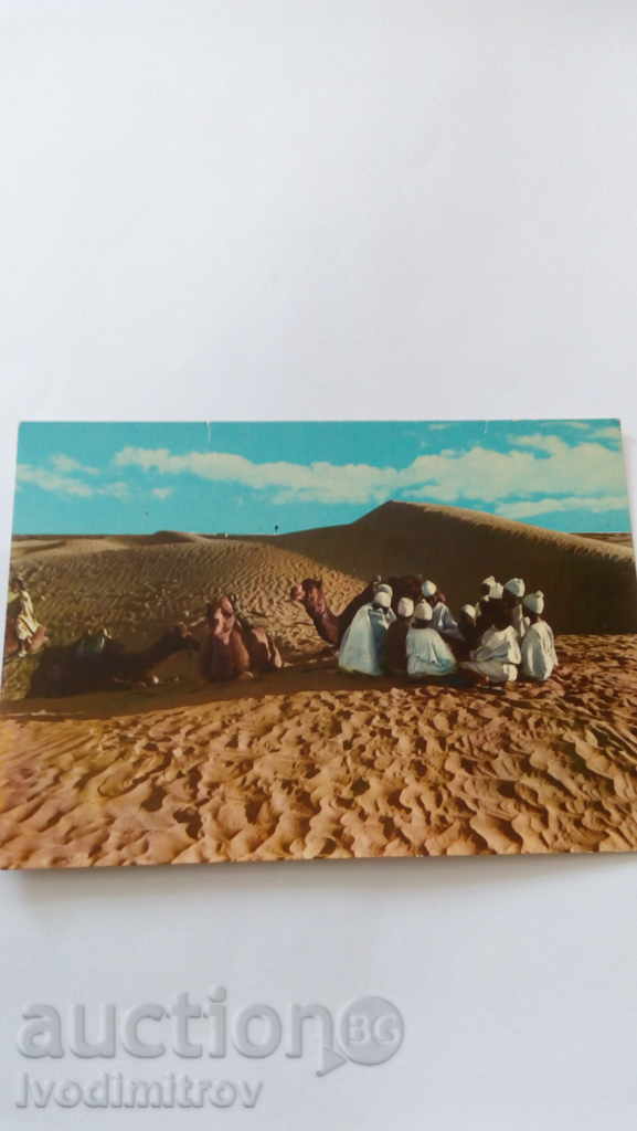 Postcard Libya Caravan in the Desert 1980