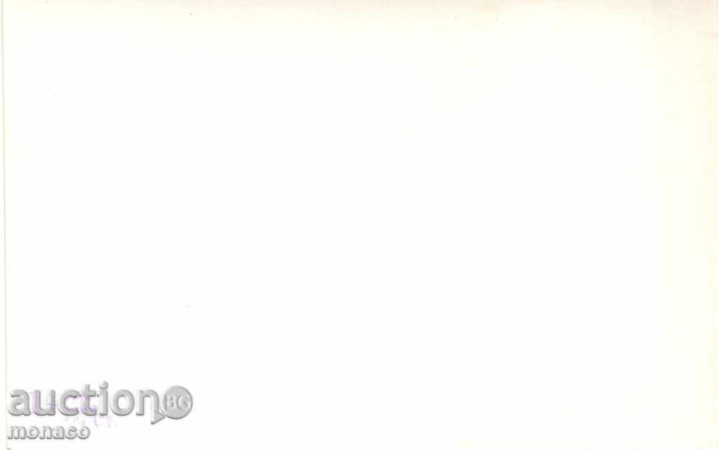 Old postcard - Rila, View to Mechit with price 2.00 BGN | € 1.02 Old postcard - Rila, View to Mechit with price 2.00 BGN | € 1.02