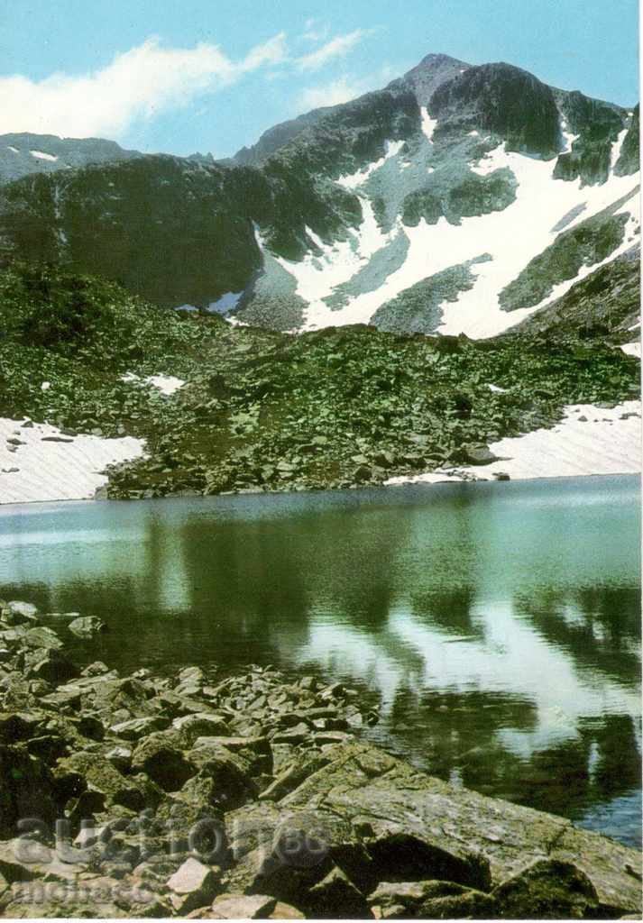 Стара пощенска картичка - Рила, връх "Мусала", 2925 м.