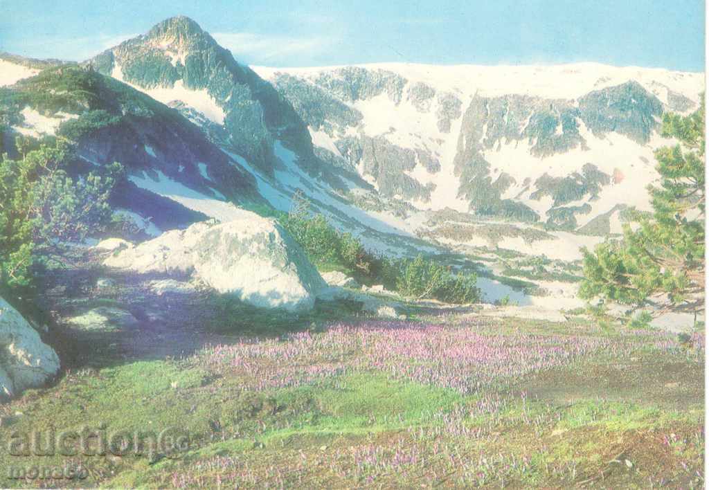 Παλιά καρτ-ποστάλ - Ρίλα κορυφή «Haramiata»
