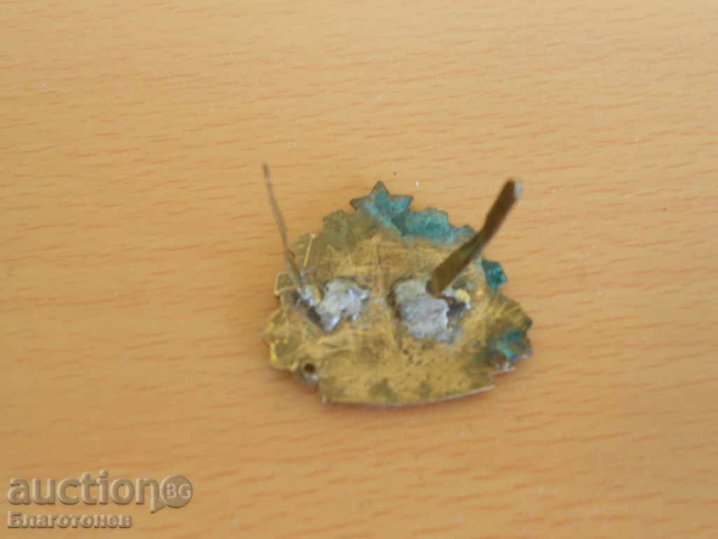 Student cocard with price 15.00 BGN | € 7.67 Student cocard with price 15.00 BGN | € 7.67