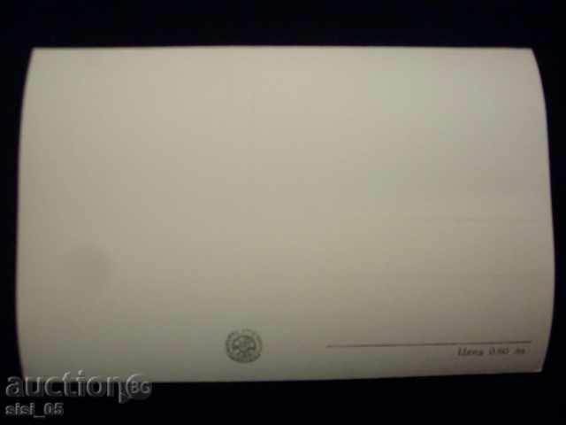 Postcard Razgrad - Excavations of the Roman city of Abritus with price 9.00 BGN | € 4.60