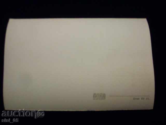 Postcard Razgrad corner of the city park with price 6.00 BGN | € 3.07 Postcard Razgrad corner of the city park with price 6.00 BGN | € 3.07