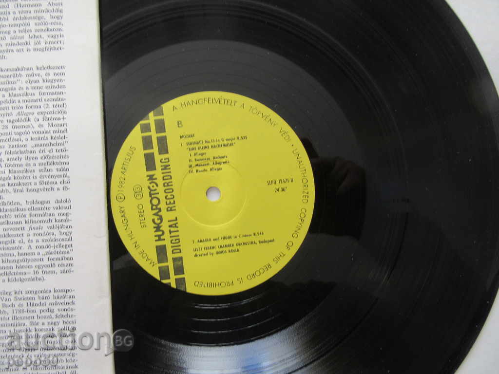 Auction / A / BIGGEST ENGLISH GRAMMONTAL TILES - SLPD 12471 Auction / A / BIGGEST ENGLISH GRAMMONTAL TILES - SLPD 12471