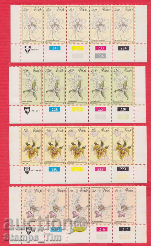 33K18 / VENDA Wendt 1981 - FLORA - Orhideele FLORI