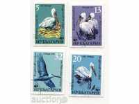Клеймовани   марки  WWF Пеликани 1984 България