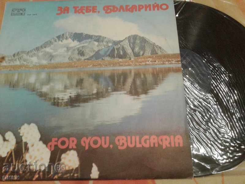 BXA 10976 About You Bulgarian Mountain Song